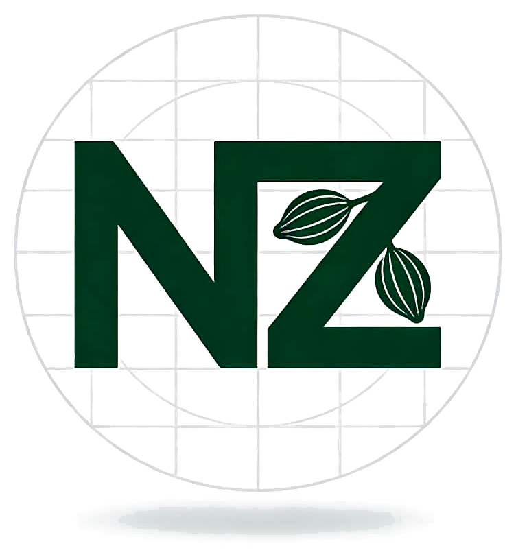 Ville de Nzérékoré